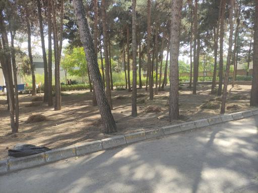 پردیس شهید بهشتی دانشگاه فرهنگیان