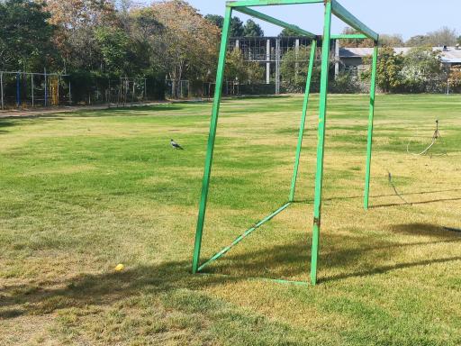 عکس پردیس شهید بهشتی دانشگاه فرهنگیان