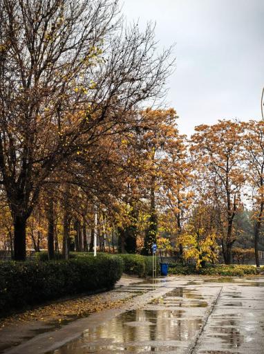 عکس پردیس شهید بهشتی دانشگاه فرهنگیان