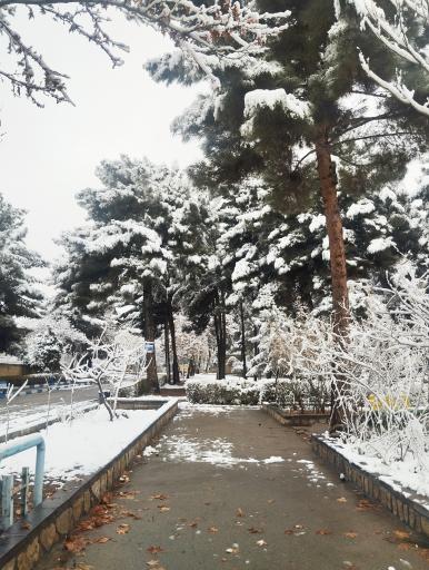 عکس پردیس شهید بهشتی دانشگاه فرهنگیان