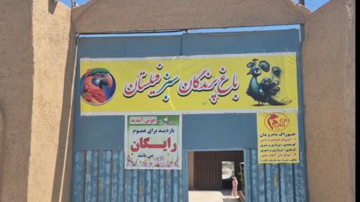 عکس باغ پرندگان سبز فیلستان
