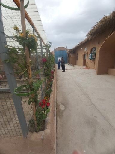 عکس باغ پرندگان سبز فیلستان
