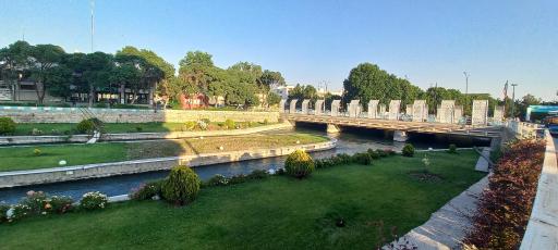 عکس فضای سبز صوفی چای