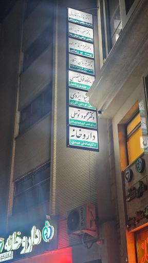 عکس دکتر فائزه آقاجانی
