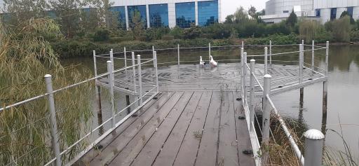 عکس مجتمع فولاد گیلان