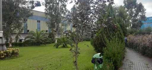 عکس مجتمع فولاد گیلان