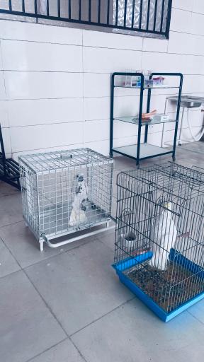 عکس کلینیک دامپزشکی و مرکز واکسیناسیون دکتر الهام بشارت