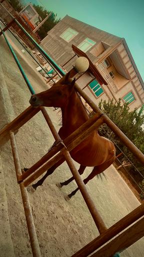 عکس کلینیک دامپزشکی و مرکز واکسیناسیون دکتر الهام بشارت