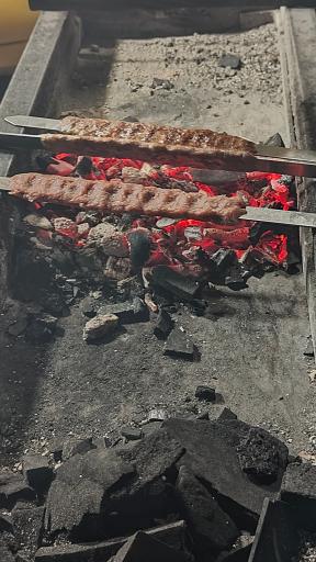 عکس جگرکی یاشار