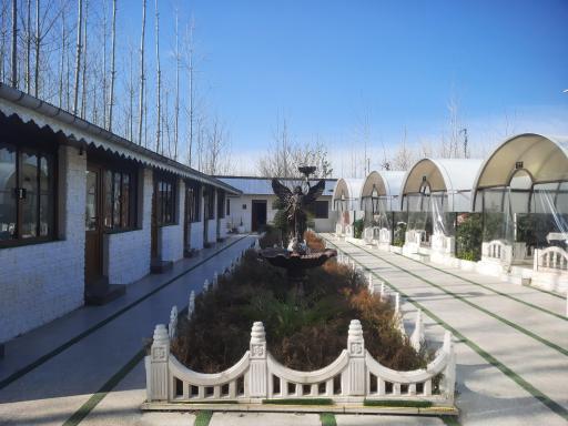 عکس باغ رستوران پرستو پلاس