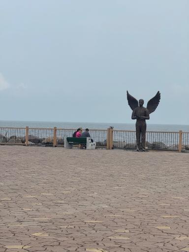 عکس موج‌شکن منطقه آزاد انزلی