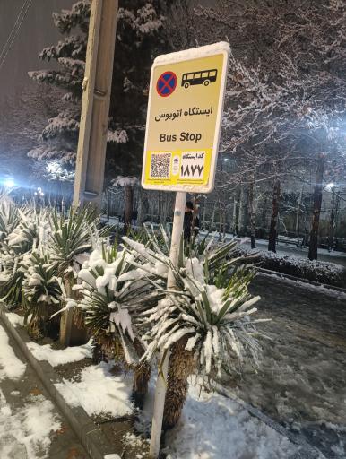 عکس  پارک ملت