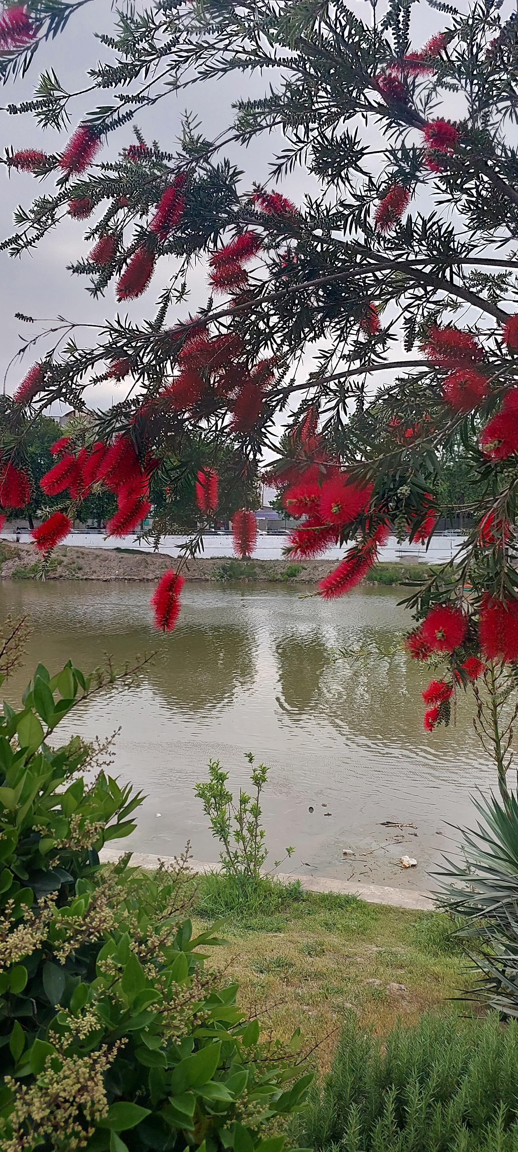 عکس ساحل بابل رود