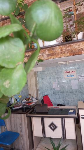 عکس مشاور املاک سهند