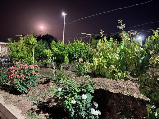 عکس اقامتگاه بومگردی کلدر