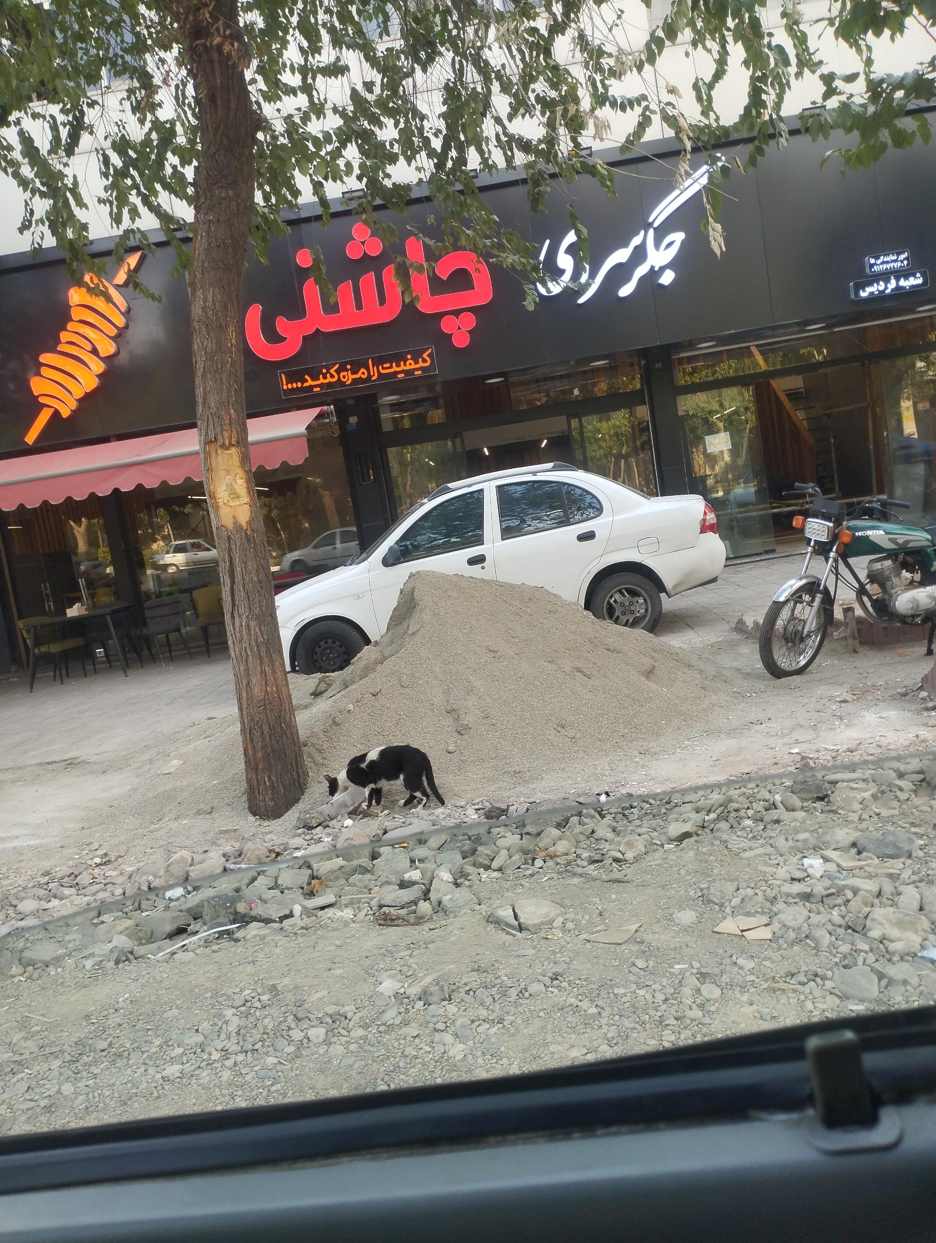 عکس جگر سرای چاشنی