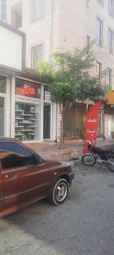 امیران الکتریک ایرانیان