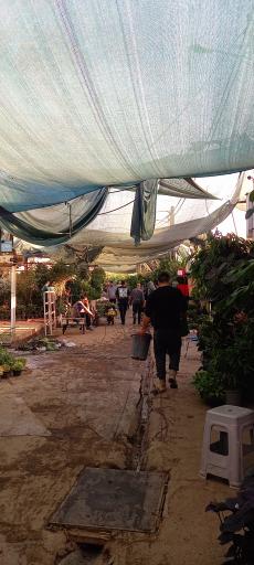 عکس بازار گل شهید محلاتی