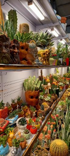 عکس بازار گل شهید محلاتی