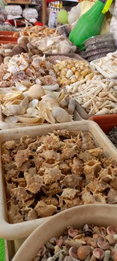 عکس بازار گل شهید محلاتی