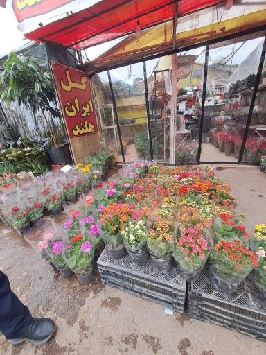 عکس بازار گل شهید محلاتی