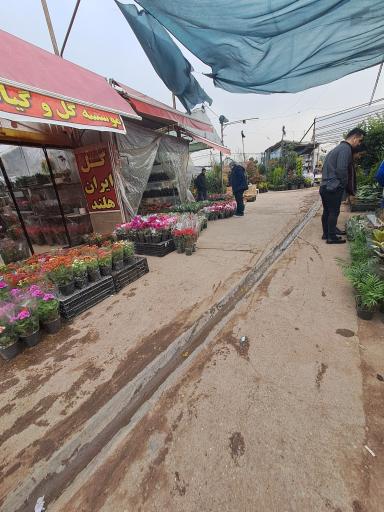 عکس بازار گل شهید محلاتی