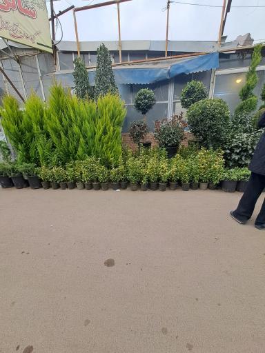 عکس بازار گل شهید محلاتی