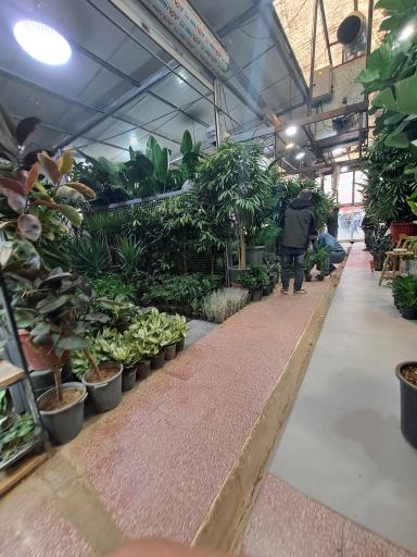 عکس بازار گل شهید محلاتی