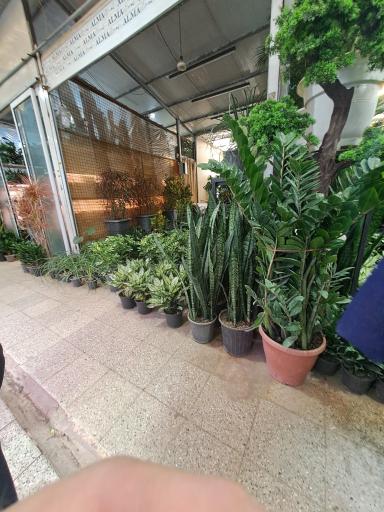 عکس بازار گل شهید محلاتی