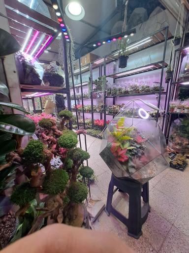 عکس بازار گل شهید محلاتی