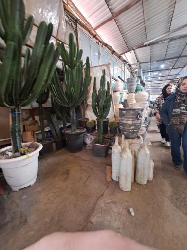 عکس بازار گل شهید محلاتی