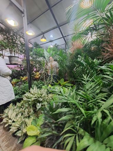 عکس بازار گل شهید محلاتی