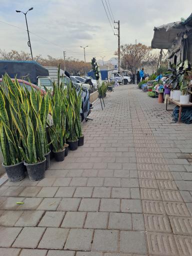 عکس بازار گل شهید محلاتی