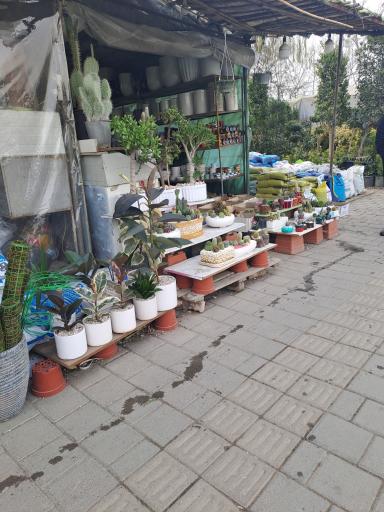 عکس بازار گل شهید محلاتی