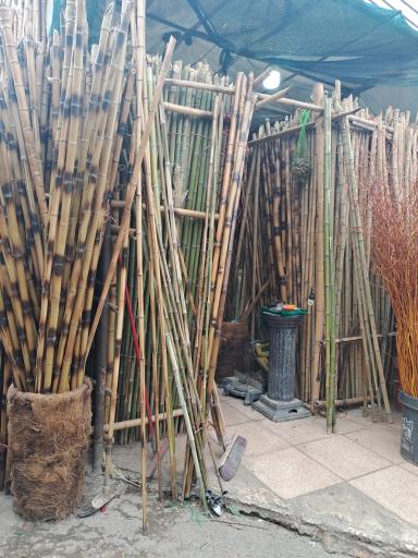 عکس بازار گل شهید محلاتی