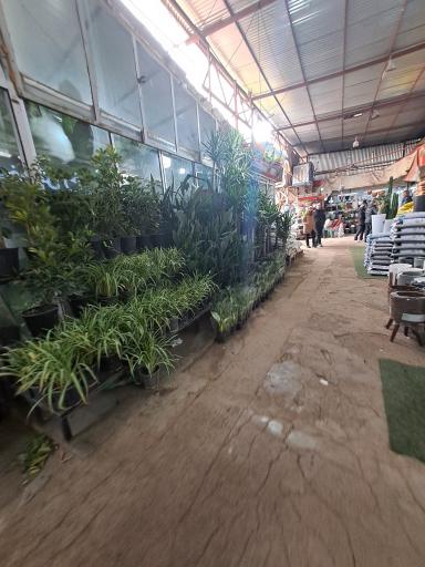 عکس بازار گل شهید محلاتی