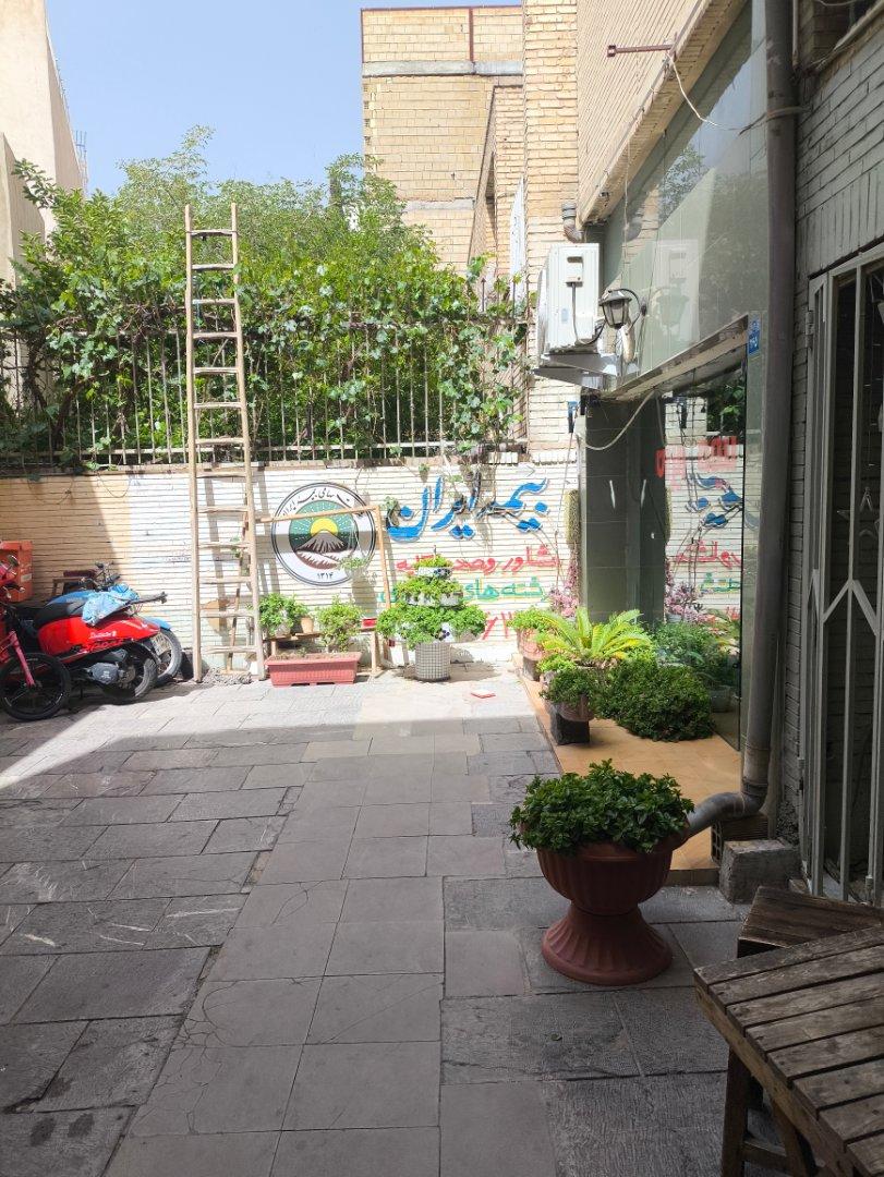 عکس بیمه ایران