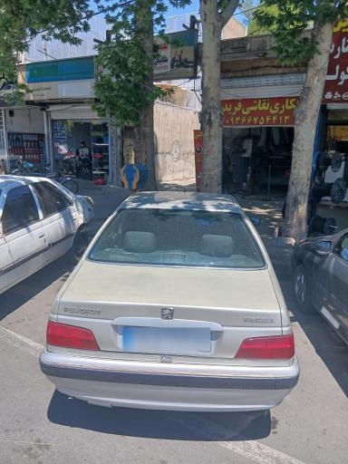 عکس صافکاری و نقاشی فریدون