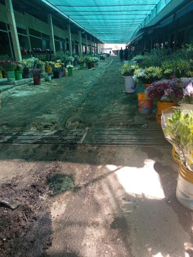 عکس بازار گل شهید محلاتی