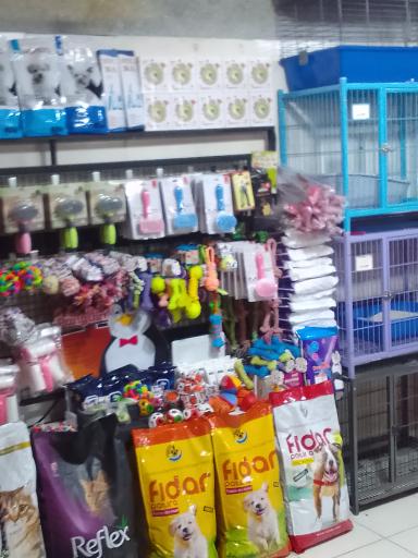 عکس پت شاپ دنیای وحش