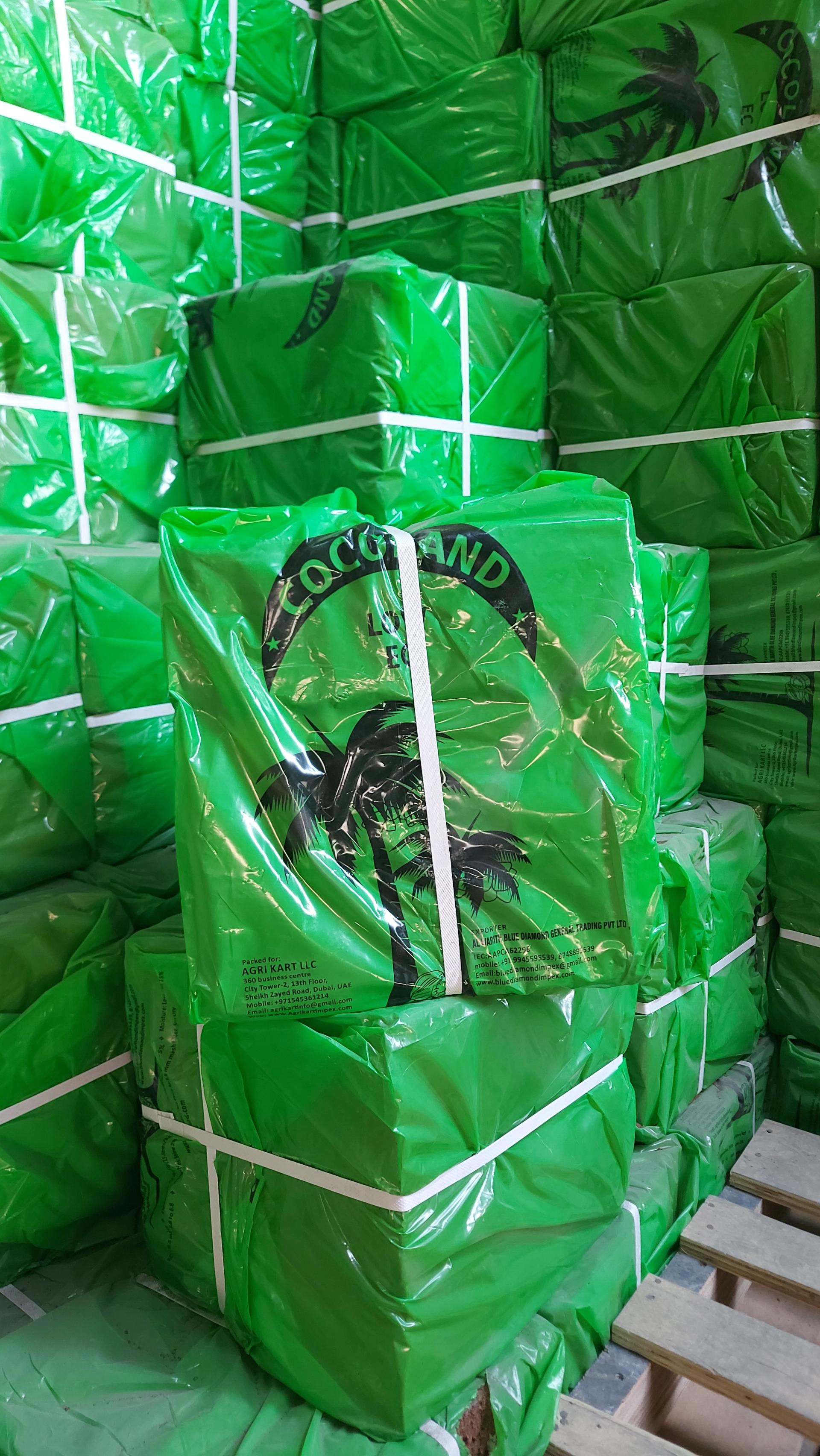 عکس کوکوپیت کوکولند 