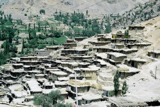 عکس سر آقاسید