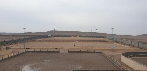 عکس باشگاه و آموزشگاه سوارکاری همراز