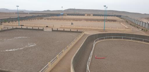 عکس باشگاه و آموزشگاه سوارکاری همراز