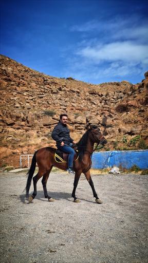 عکس مجتمع سوارکاری دکتر ابراهیمی 