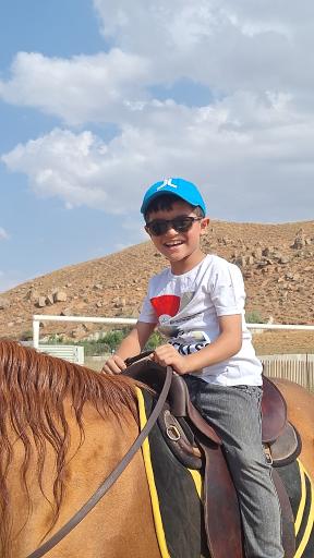 عکس مجتمع سوارکاری دکتر ابراهیمی 