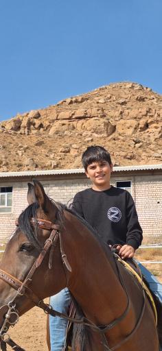 عکس مجتمع سوارکاری دکتر ابراهیمی 