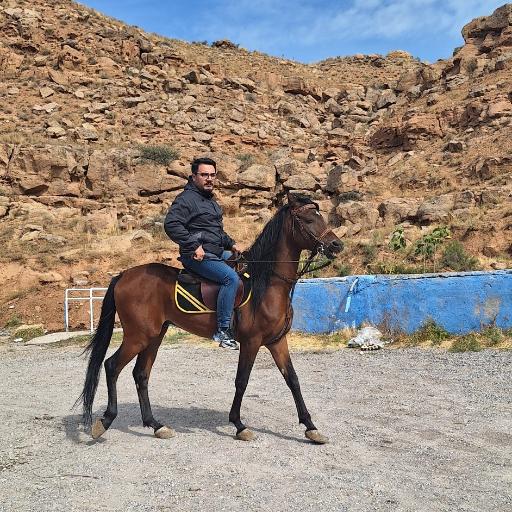 عکس مجتمع سوارکاری دکتر ابراهیمی 