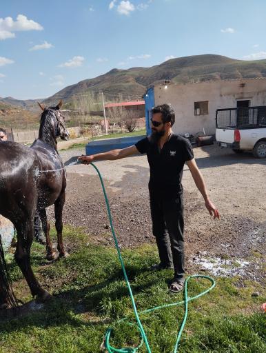 عکس مجتمع سوارکاری دکتر ابراهیمی 