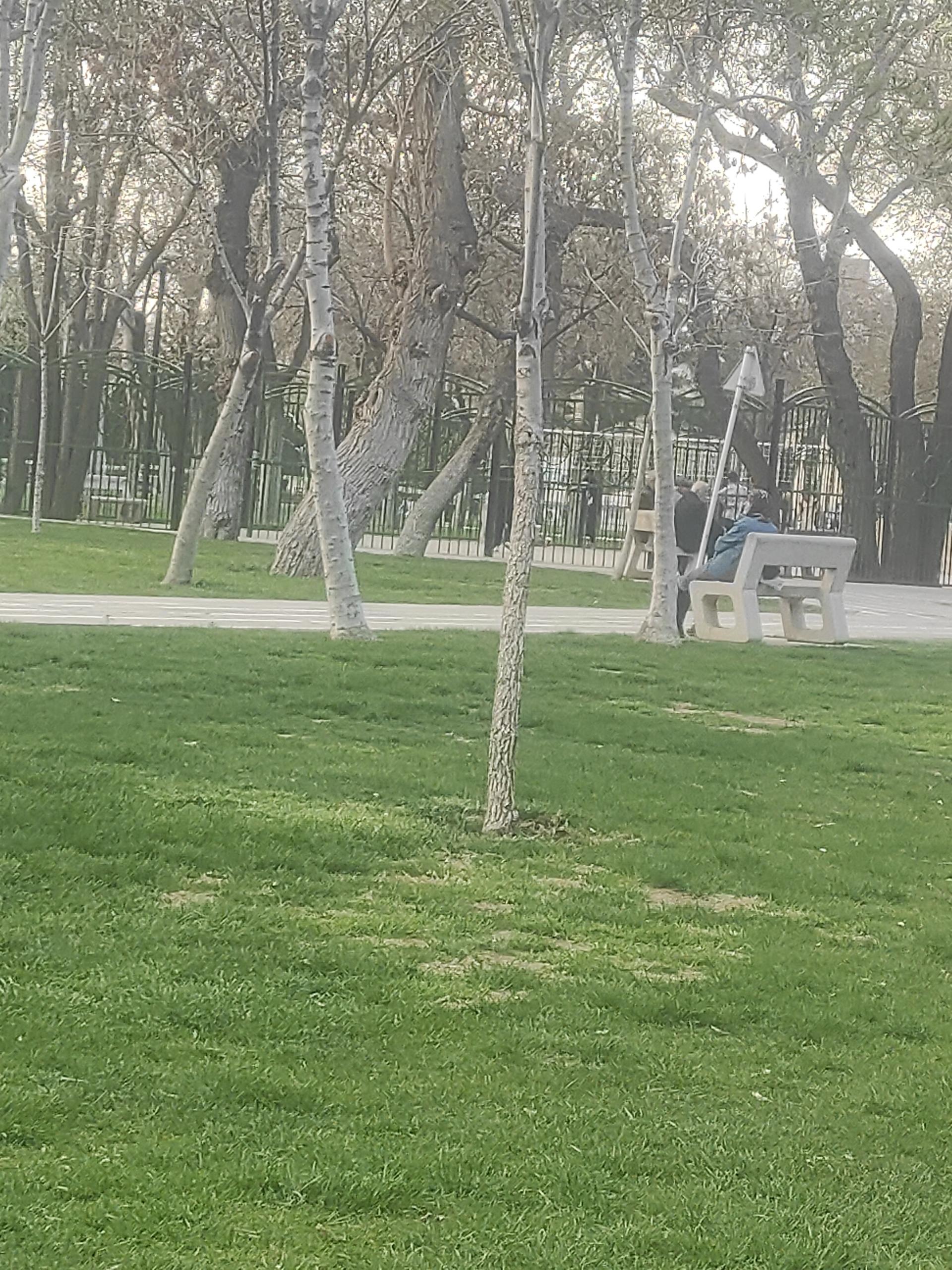 عکس پارک مصلی قزوین